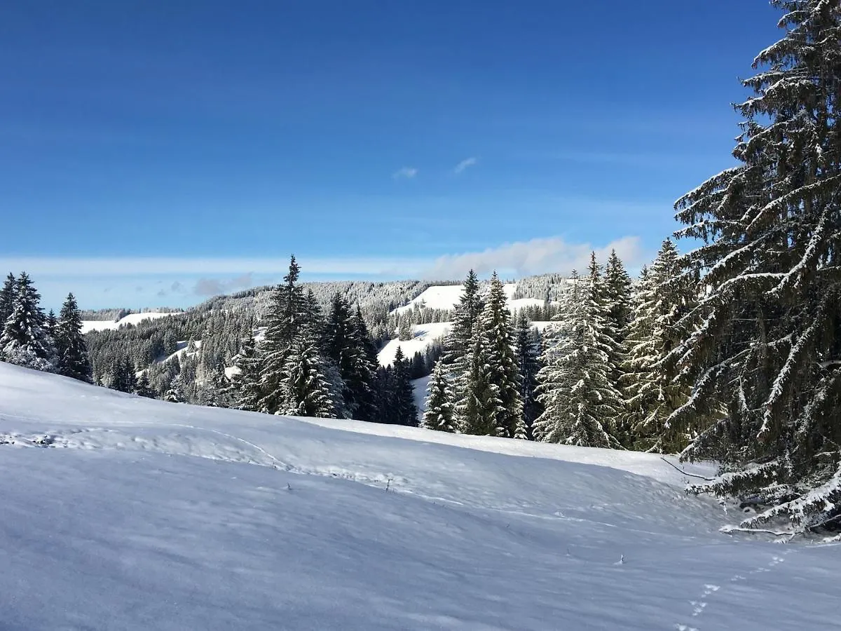 Weitnaustyle - Renoviert, Modern, Allergikerfreundlich Weitnau