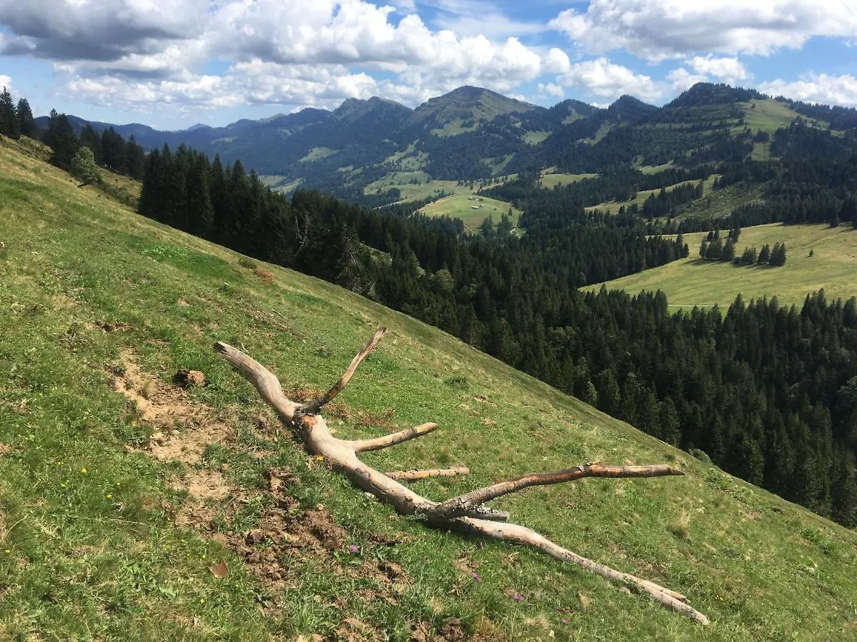 Lägenhet Weitnaustyle - Renoviert, Modern, Allergikerfreundlich