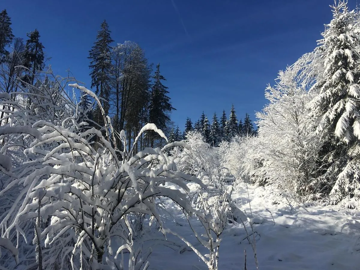 Weitnaustyle - Renoviert, Modern, Allergikerfreundlich Lägenhet